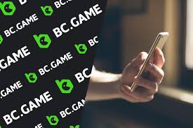 Understanding the Privacy Policy of BC.Game -1015380403
